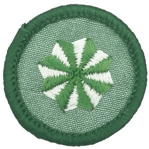 Vintage 1964 Girl Scouts Badge - Round 1.5”